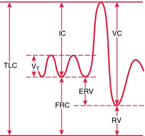 Subdivisions de total lung capacidad: TLC, total lung capacidad; V, tidal volumen; IC, inspiratory capacidad; FRC, functional residual capacidad; ERV, expiratory reserve volumen; VC, capacidad vital; RV, residual volumen. Subdivisions de total lung capacidad: TLC, total lung capacidad; V, tidal volumen; IC, inspiratory capacidad; FRC, functional residual capacidad; ERV, expiratory reserve volumen; VC, capacidad vital; RV, residual volumen.